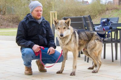 tierischer Besuch im Warener Hospiz „Müritzpark“
