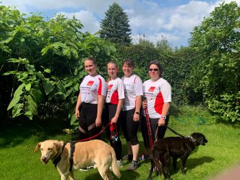 DRK Kreisverband  Mecklenburgische Seenplatte