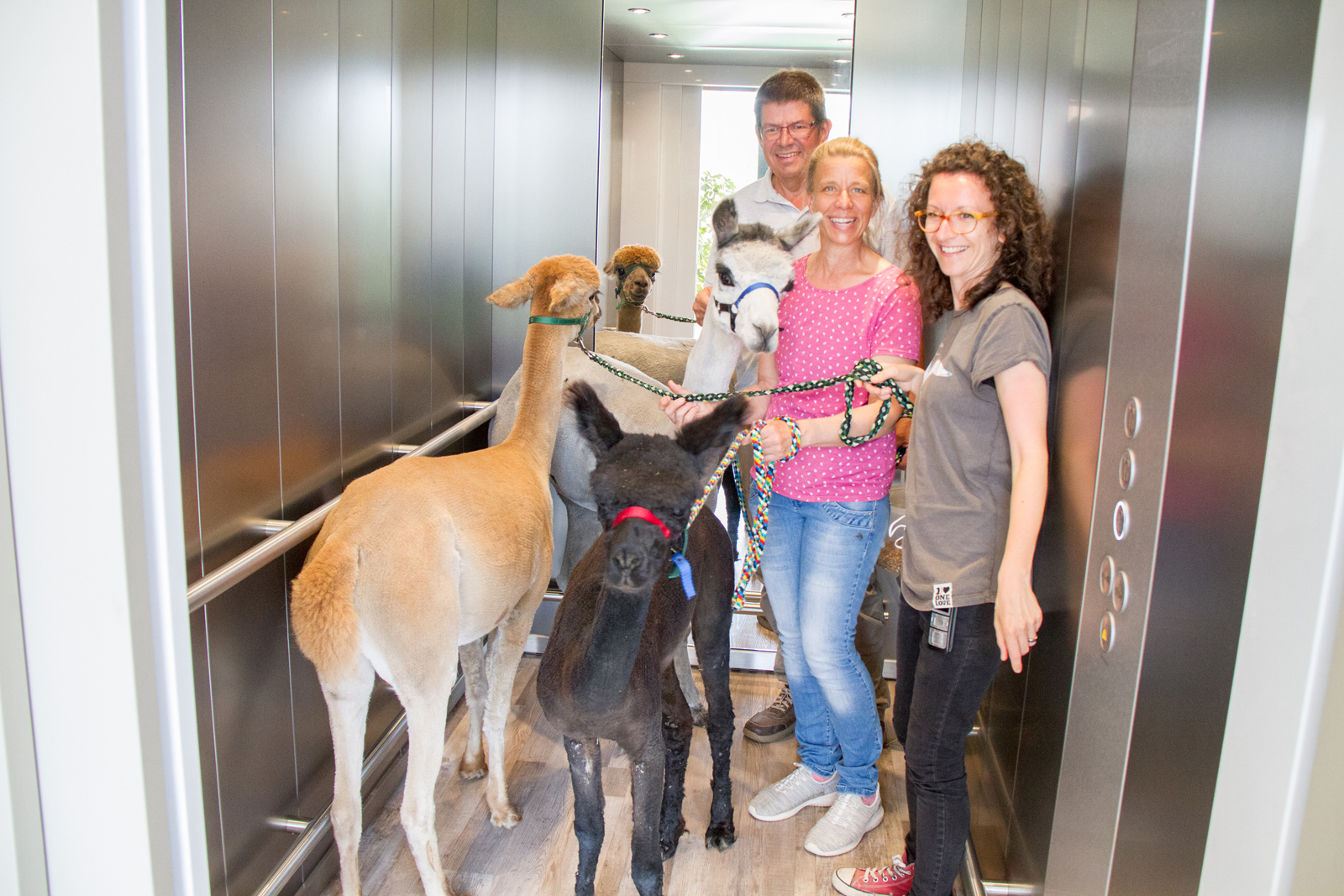Tierischer Besuch im Hospiz
