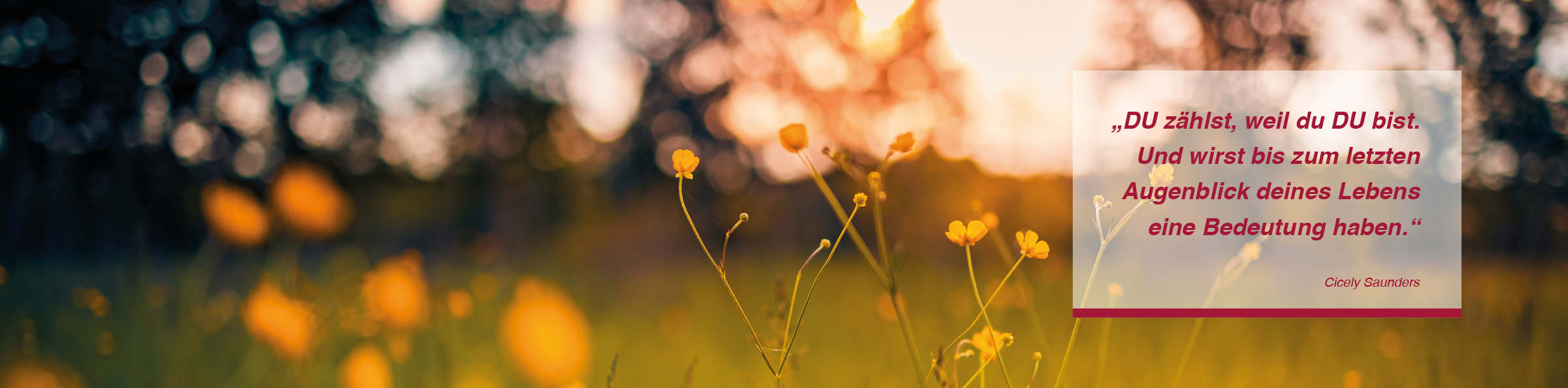 Hospizarbeit DRK Mecklenburgische Seenplatte Hospizarbeit DRK Mecklenburgische Seenplatte
