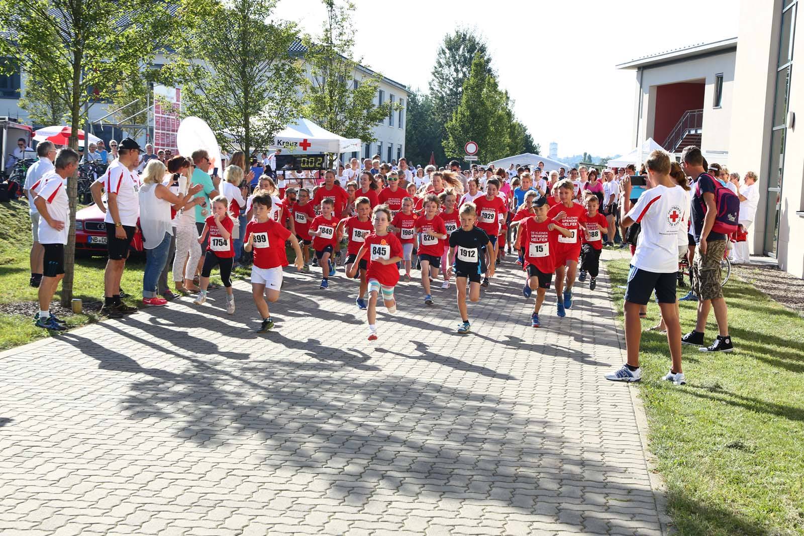 DRK Kreisverband Mecklenburgische Seenplatte